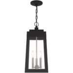 8.25 inch 3 Light Black Outdoor Pendant Lantern with Clear Glass Shade-Lighting LumensLantern