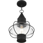 1 Light Black Outdoor Chain Lantern Pendant Lighting Fixture with Clear Glass Shade-Lighting LumensLantern