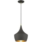 41186-07 1 Light Bronze Pendant with Antique Brass Finish Accents-Lighting LumensPendant Lights