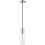 41236-91_02 1 Light Brushed Nickel Mini Pendant with Clear Glass Shade-Lighting LumensPendant Lights