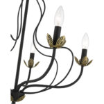 42905-04_06 42905-04 5 Light Black Chandelier-Lighting LumensChandeliers