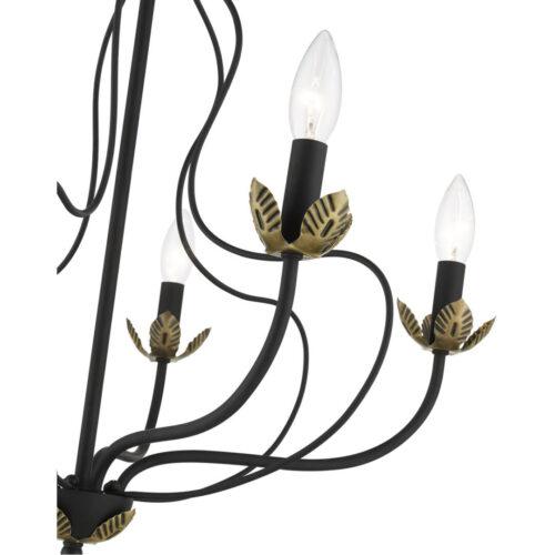 42905-04_06 42905-04 5 Light Black Chandelier-Lighting LumensChandeliers