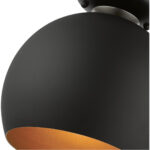 43390-04_05 43390-04 1 Light Black Semi-Flush Mount-Lighting LumensSemi Flush