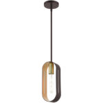 45761-07_04 45761-07 1 Light Bronze with Antique Brass Accents Pendant-Lighting LumensPendant Lights