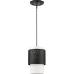 46259-04 1 Light Black Pendant-Lighting LumensPendant Lights