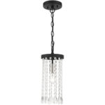 51062-04_01 51062-04 1 Light Black Single Pendant-Lighting LumensPendant Lights