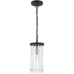 51062-04_02 51062-04 1 Light Black Single Pendant-Lighting LumensPendant Lights