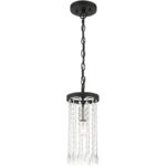 51062-04_03 51062-04 1 Light Black Single Pendant-Lighting LumensPendant Lights