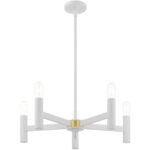 51135-03_04 5 Light White Chandelier with Steel base material-Lighting LumensChandeliers