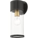 71923-07 1 Light Bronze Outdoor Medium Wall Lantern with Antique Gold Finish Accents-Lighting LumensLantern