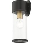 71923-07 1 Light Bronze Outdoor Medium Wall Lantern with Antique Gold Finish Accents-Lighting LumensLantern