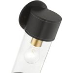 71923-07 1 Light Bronze Outdoor Medium Wall Lantern with Antique Gold Finish Accents-Lighting LumensLantern