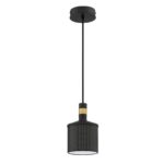 AXIS 1-Light Black & Brass Pendant | Stylish Metal Lighting for Modern Spaces