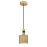 AXIS Brass & Black 1-Light Pendant | Stylish Metal Lighting Fixture for Home Decor