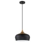 Stylish ORIAN Black & Brass 1-Light Metal Pendant Light - Modern Home Lighting Fixture