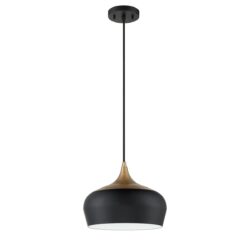 Stylish ORIAN Black & Brass 1-Light Metal Pendant Light - Modern Home Lighting Fixture