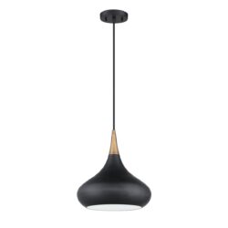 Shop MEDINA Black & Brass 1-Light Pendant - Stylish Metal Ceiling Light Fixture by Kendall Lighting