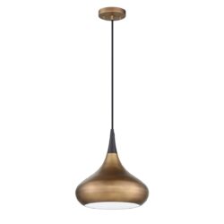 Medina 1-Light Brass & Black Pendant | Stylish E26 Fixture | Modern Home Lighting