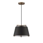 SKY Black & Brass 1-Light Pendant | Stylish Medium Base Fixture | Metal Shade & 10ft Braided Wire