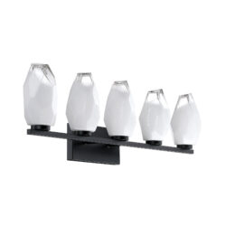 SOREN 5-Light Black Vanity Light with Clear Sculpted Ice Glass Shade for Modern Homes